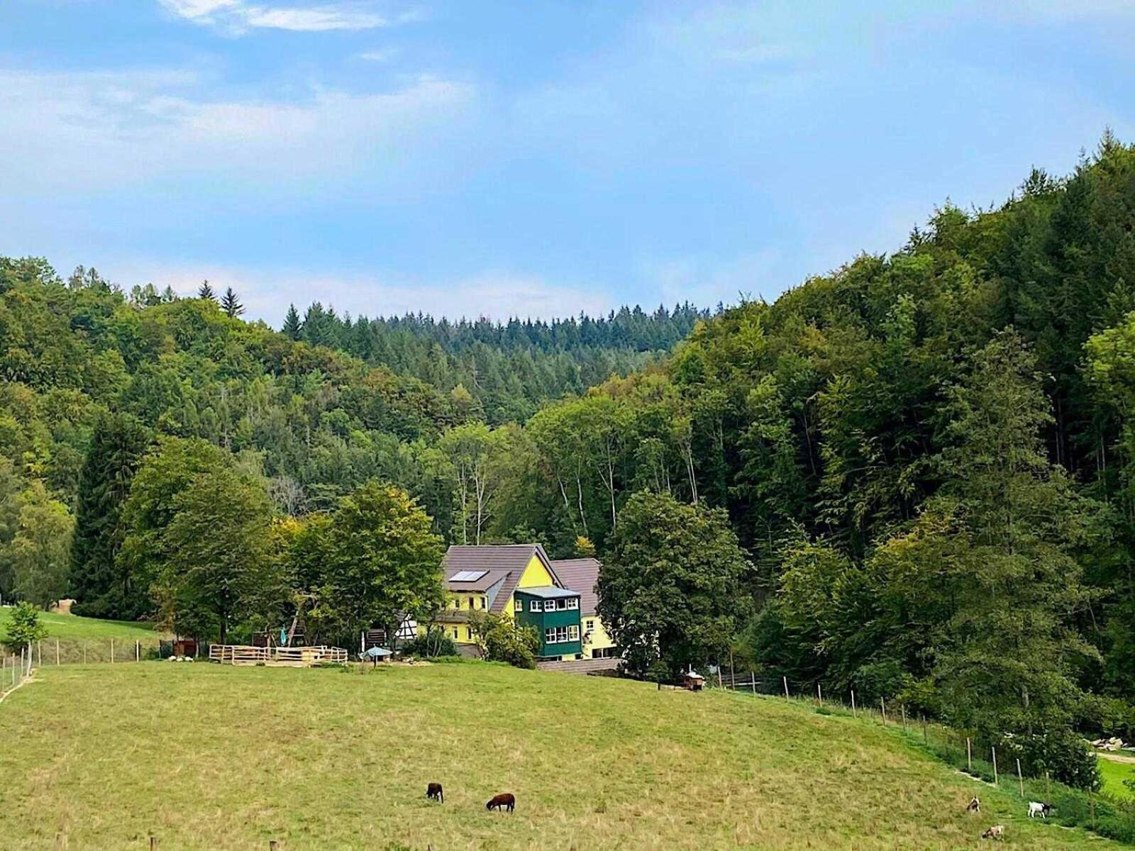 Siegelsbacher Muehle Luaran gambar